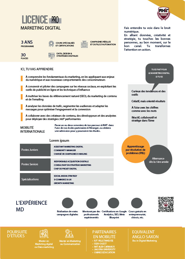 Licence Professionnelle en Marketing Digital